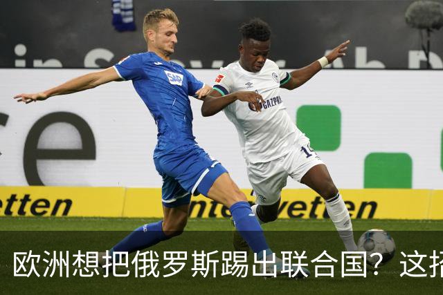 欧洲想把俄罗斯踢出联合国？这招很危险！